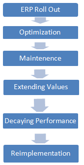 ERP Life Cycle